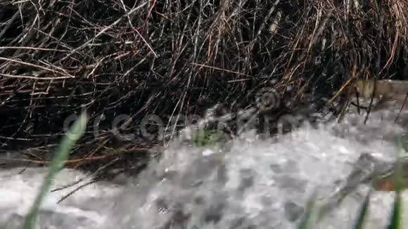 石头附近河流的快速流动视频的预览图