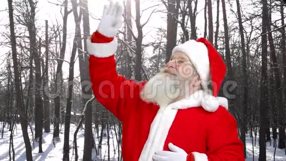圣诞老人在户外挥手视频的预览图