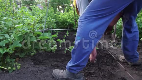 一个人用铲子挖花园视频的预览图