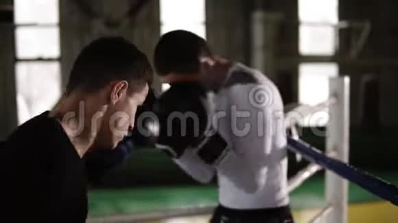 训练在两个年轻拳击伙伴的健身房练习拳击戒指练习打击技术架子他按下了视频的预览图