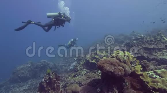 水肺潜水员潜水在美丽的珊瑚礁和鱼类的蓝色海底潜水员在水下游泳和观看视频的预览图
