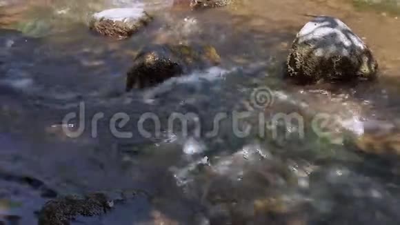 在湍急的河流中嬉戏慢镜头视频的预览图