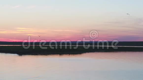 俄罗斯的自然日落时的鸟岛海鸥飞向粉红色的天空鸟瞰视频的预览图