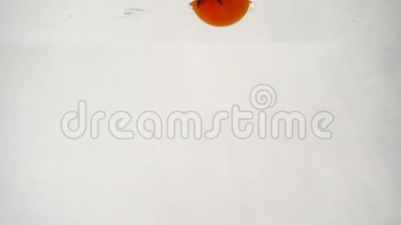 一个成熟的红樱桃番茄在白色背景下潜到水下视频的预览图