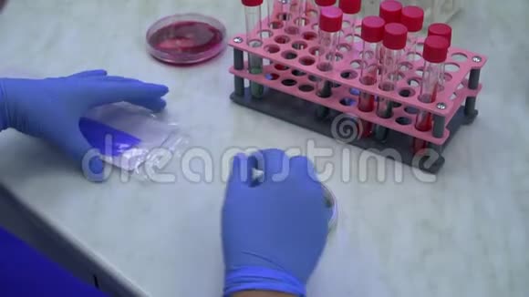 在实验室里做分析的女人的双手紧闭在现代实验室进行研究科学视频的预览图