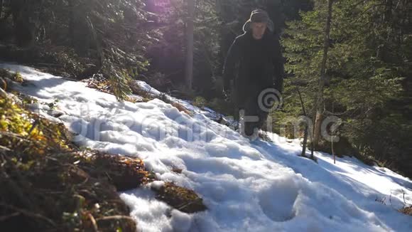 在松林雪山上年轻徒步旅行者朝相机走来的低角度视角在雪坡上徒步旅行视频的预览图