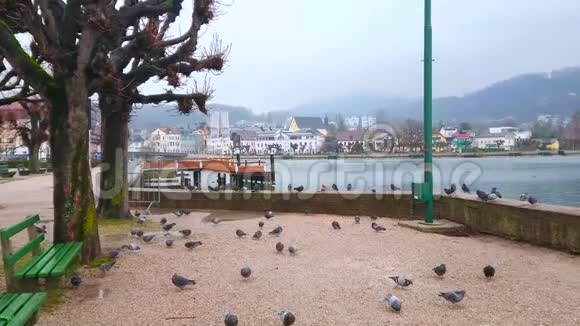 奥地利格蒙登湖畔长廊视频的预览图