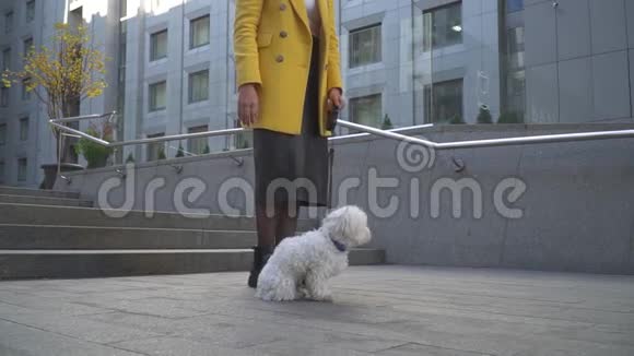 穿黄色外套的女士正在抚摸她的小狗视频的预览图