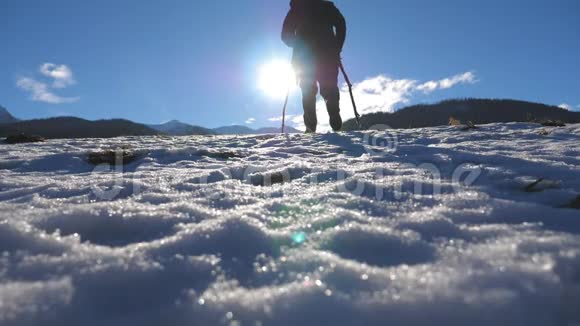 在阳光明媚的日子里一个面目全非的家伙在雪地草地上用棍子走路年轻徒步旅行者在雪地上跋涉视频的预览图