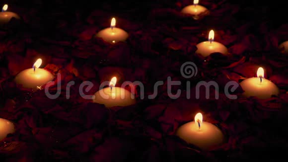 玫瑰花瓣中的蜡烛浪漫的金钱观念视频的预览图