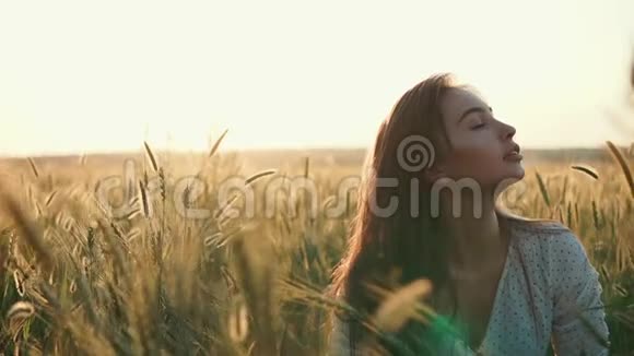 放松的黑发女人正坐在田野上夕阳下她的耳朵是金色的黑麦视频的预览图