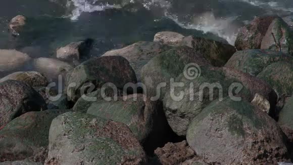 海边的石头视频的预览图