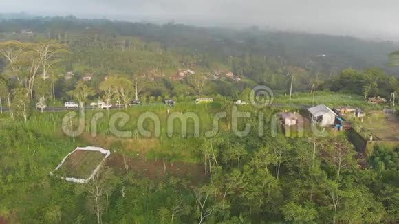 印度尼西亚田野山丘和村庄的空中景观巴厘岛上有一条道路和汽车视频的预览图