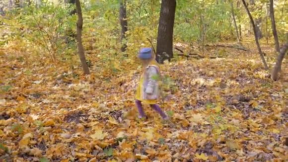 秋天一个可爱的小女孩在公园里散步视频的预览图