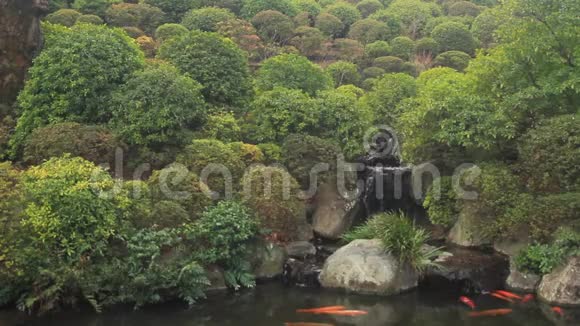 东京内祖庙池塘里的鲤鱼视频的预览图