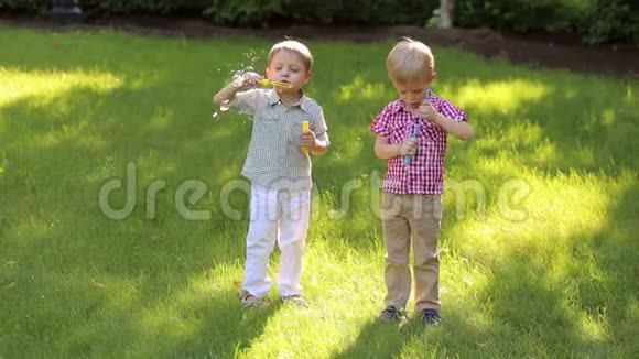 两个开朗的小哥哥在绿草地上的公园里玩肥皂泡视频的预览图