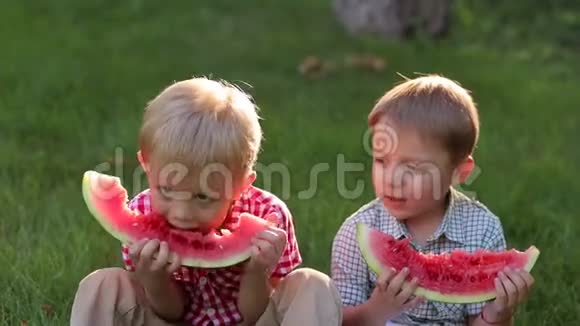 两个小朋友正坐在绿草上的夏天公园里吃西瓜视频的预览图