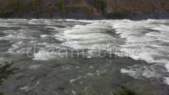 宽阔的浅水河湍急翻腾视频的预览图