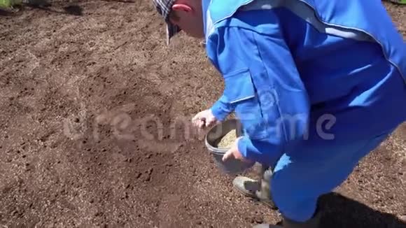 专业工人将草坪种子播种到土壤中关节活动度射击视频的预览图