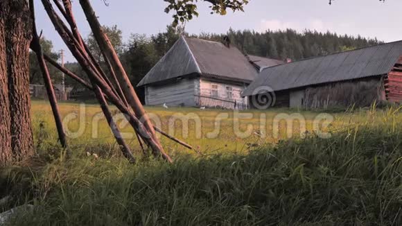 非城市场景农村背景草地背景上的旧村房子夏在村里后院前面视频的预览图