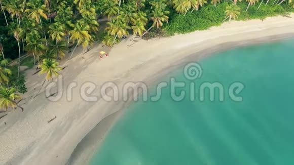 令人惊叹的棕榈岛青绿色海水白色沙滩和收费棕榈树视频的预览图