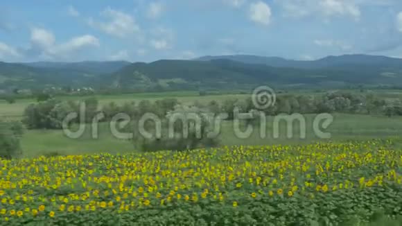绿色罗马尼亚景观视频的预览图