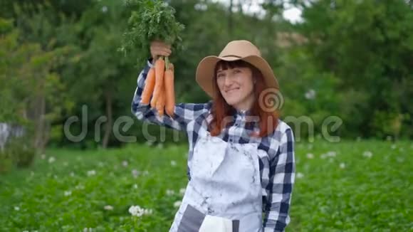快乐的女农民正在挖掘和持有从他的花园地块收获的胡萝卜作物生态传统视频的预览图