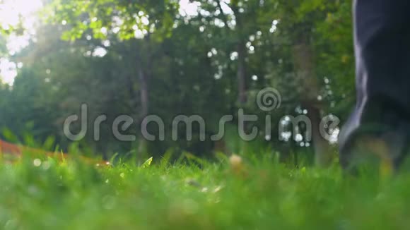 穿西装的人把他的箱子放在草地上快乐地跑进森林自由视频的预览图