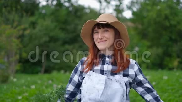 快乐的女农民正在挖掘和持有从他的花园地块收获的胡萝卜作物生态传统视频的预览图