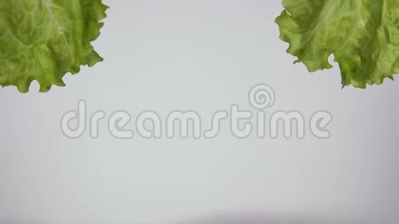 绿色的卷心菜叶在晃动屏幕的角落视频的预览图
