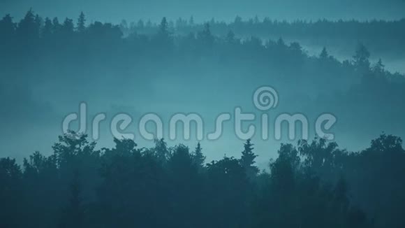 傍晚森林里神秘的雾气视频的预览图