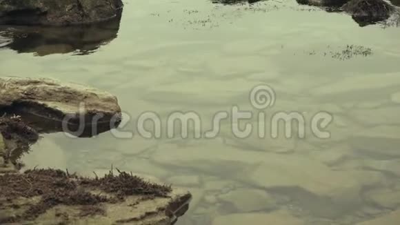 岩石上的海藻中的石头视频的预览图