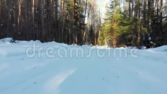 滑雪者骑着滑雪板穿过树林拍摄于阳光明媚的冬日视频的预览图