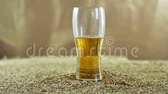 一家私人手工酿酒厂生产的淡啤酒在麦芽的背景下缓慢地倒入玻璃杯中视频的预览图