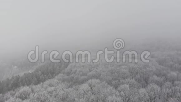 在一片白雪皑皑的森林里朦胧的冬天视频的预览图