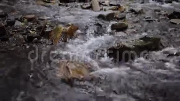靠近山河水流带着岩石森林里的急流视频的预览图