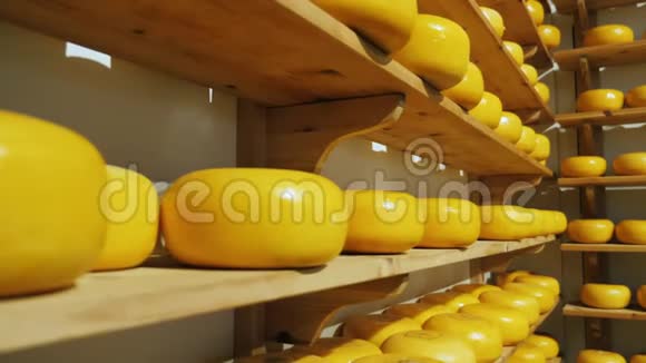几个架子上有漂亮的荷兰奶酪头视频的预览图
