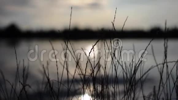 观赏湖景和日落的草地编织视频的预览图