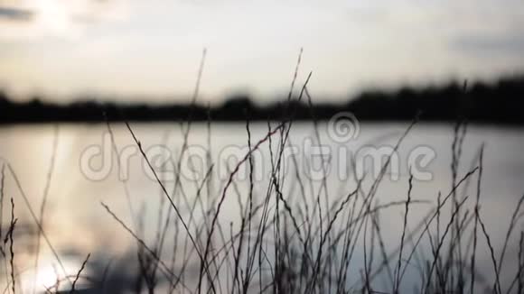 观赏湖景和日落的草地编织视频的预览图