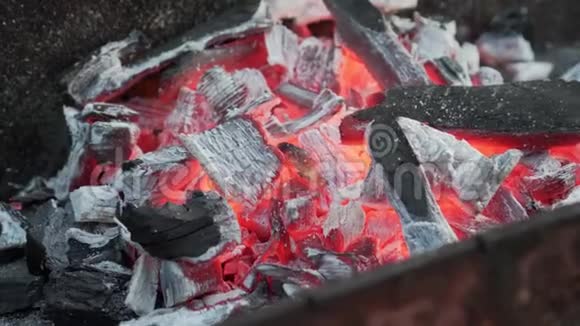 烤架上的热煤煤在烤架里加热成红色视频的预览图