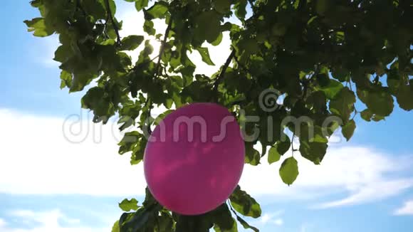 德罗沃苹果树装饰一个气球太阳耀斑儿童假期用气球节日装饰视频的预览图