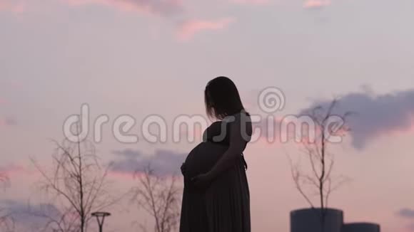 生动的洋红色日落年轻的孕妇在她的旅行目的地国家拉脱维亚看到城市里加视频的预览图
