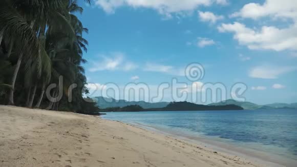 菲律宾美丽的热带海滩棕榈树和金沙视频的预览图