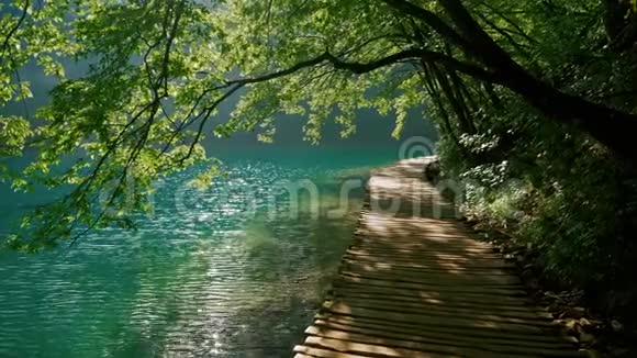 走在蓝色湖泊附近的一条美丽的小路上视频的预览图