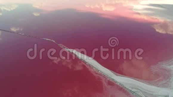 神秘的自然现象粉红盐湖视频的预览图