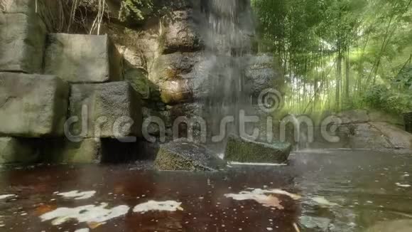 热带竹林中的瀑布视频的预览图