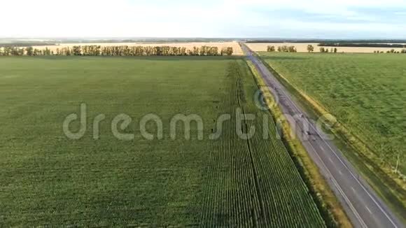 在乡间的路上飞行公路穿过美丽的农业领域视频的预览图