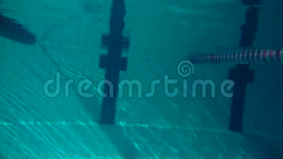 水下看女孩在游泳池里跳跃动作缓慢水下视野夜间射击视频的预览图