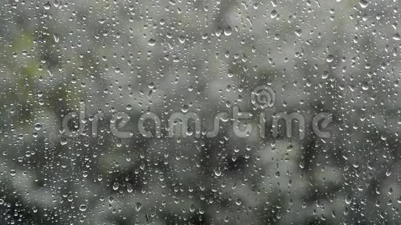 窗外的雨视频的预览图