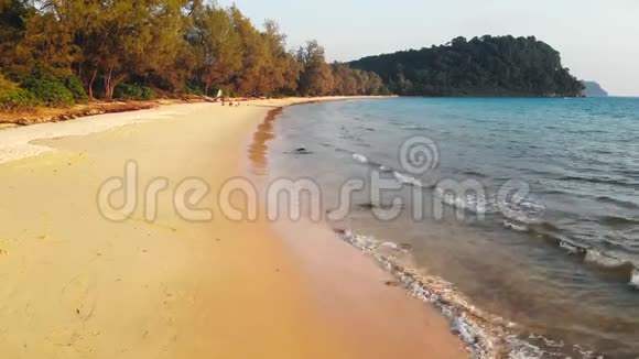 美丽的海滩美丽的热带沙滩周围有绿色椰子树假期和假期热带视频的预览图